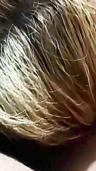 Mature Granny Oral Sex