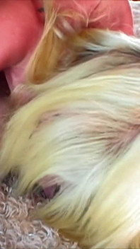 La rubia de color _ pequeña nena es follada y facializada