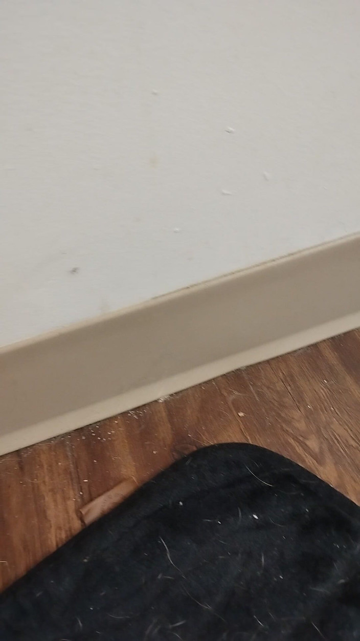 JG Risk: 11-26-2025 belle piccole dita dei piedi