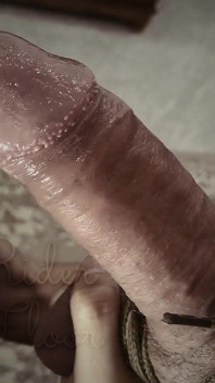Blowjob perhambaan Edging