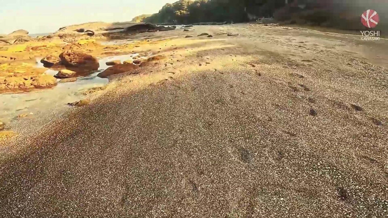 Yoshi Kawasaki XXX: Yoshikawasakixxx - Yoshi Кавасаки растягивает дырку аксель бездны