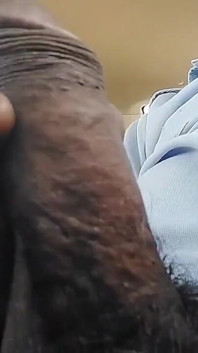 Seal Breaking Strong Land