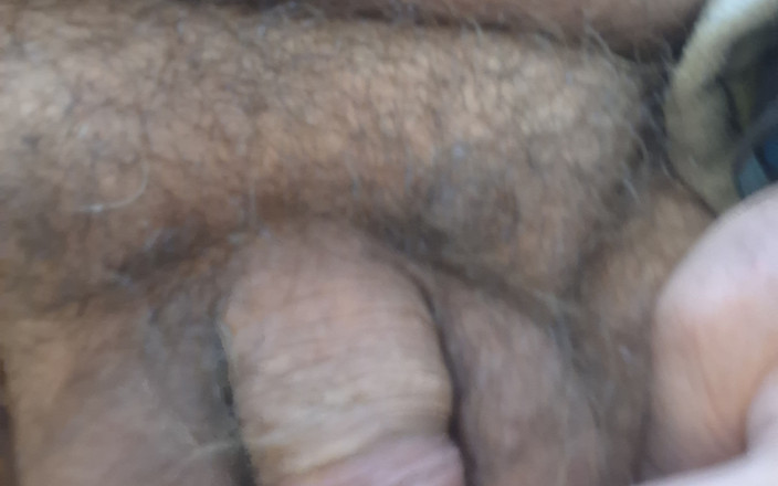 Sebastian Messner: Cola pequeña