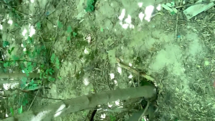 Idmir Sugary: Amatérská teenagerka Velký stříkací park