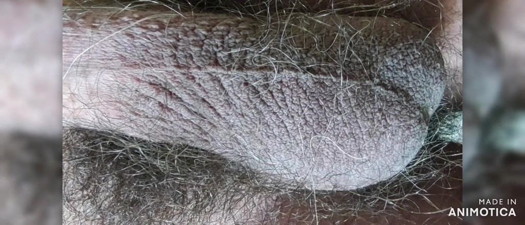 Stink HairyMale: sidik banyosu 1