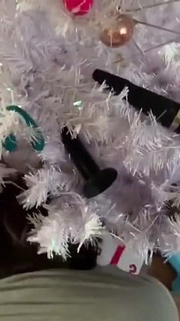 Unter dem weihnachtsbaum stecken! Mehrere freie cumshots!