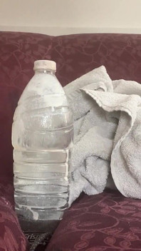 Flasche tief anal einführen