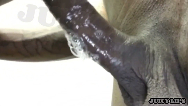 It get sloppy here: Juicy Lips- Pull up an Gives Him the Sloppies Head...