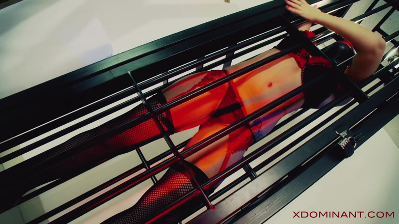 X Dominant: Xdominant 047 - навчання рабів лесбійського домінування