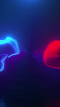 Dakota James Married a Real Bitch Cuckold