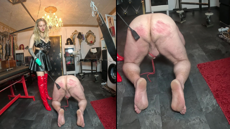 Queen_of_BDSM: ¡Tus testículos deben soportar sufrimiento por tu amante!
