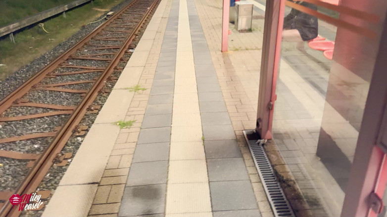 Miley Weasel: Fantastico!! Una troia arrapata scopata in mezzo alla stazione dei...