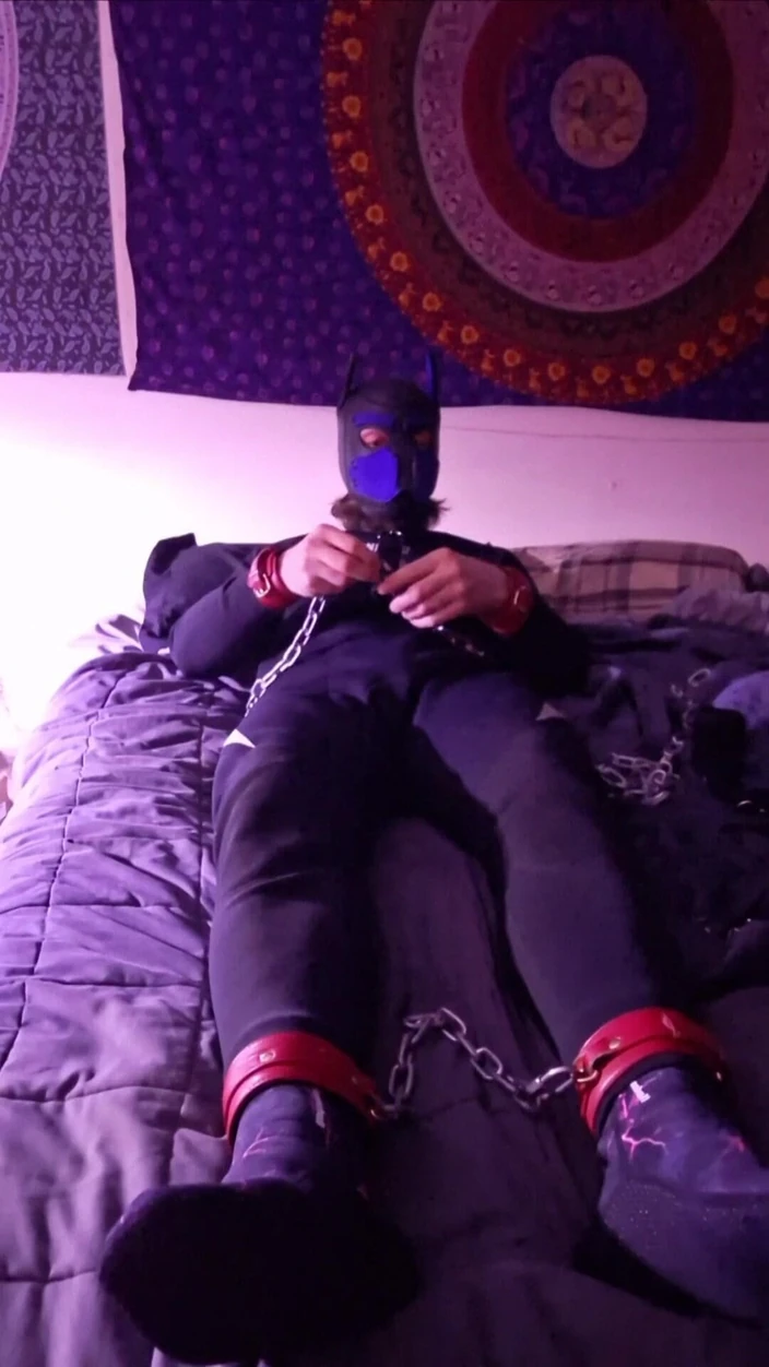 Robert48569: Neoprene Petplay Self Bondage Chains Leather Puppyplay Pup Mash Hood...