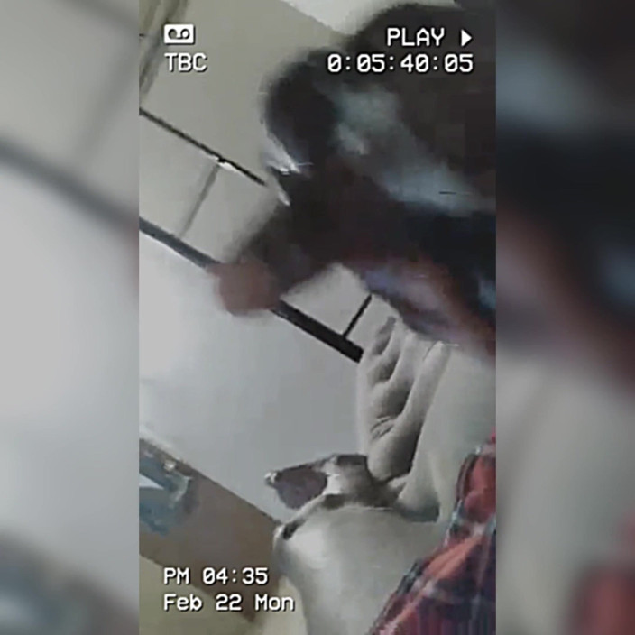 Prettyboy J: Spelen met Palmala
