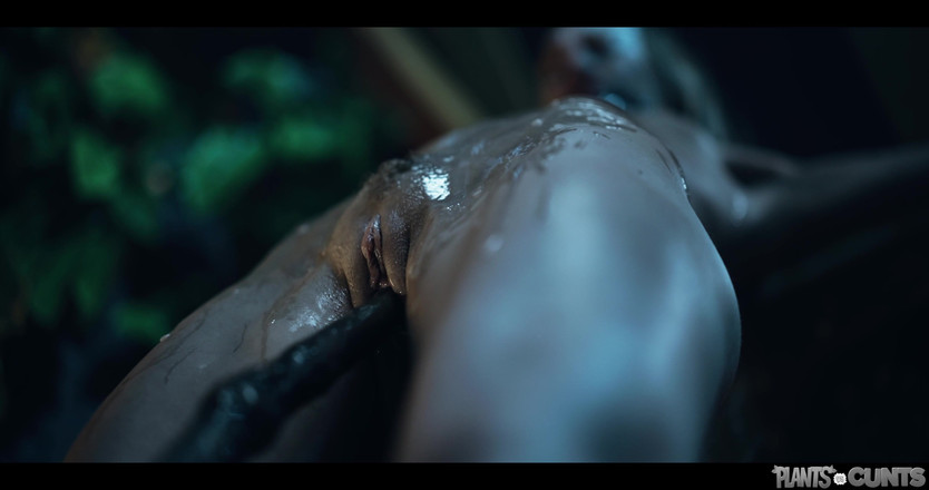 Plants vs Cunts: Заводы против петок Том. 11