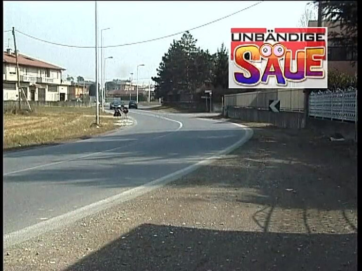 SinWorld - Just the best in porn: Pulchne mięso prosiąt z młodymi cipkami