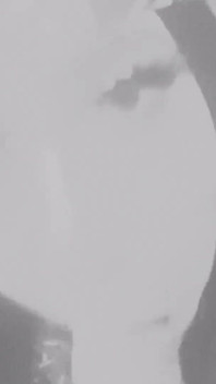 Mia kay scopata e sborrata in faccia da un grosso uomo di colore