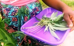 स्वाद की तलाश में मेरे क्षेत्र की खोज