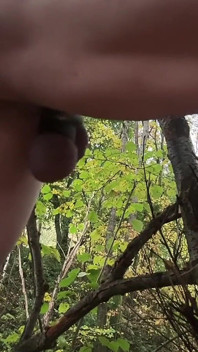 Diversión anal con rama de árbol en el bosque