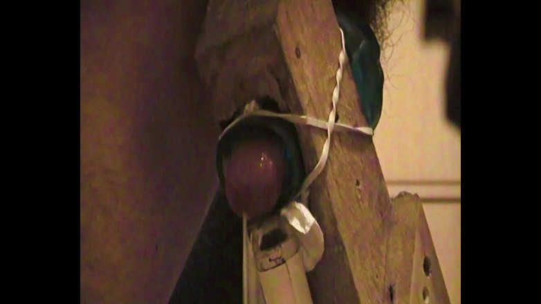 Mark Hannes: 圣诞肉光站操逼手淫