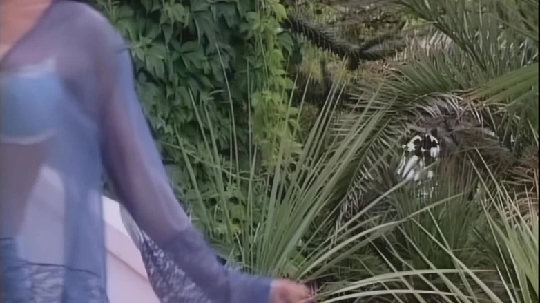 MMV Films: Sexy Threesome and Group Fuck Outdoor