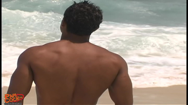 Papi Cock: 알론조