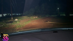 Bruna Santiny Hetero: 我逗弄这个混蛋，直到他停车，狠狠地操我，最后射在我小嘴里