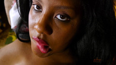 ATK Exotics: 인터뷰