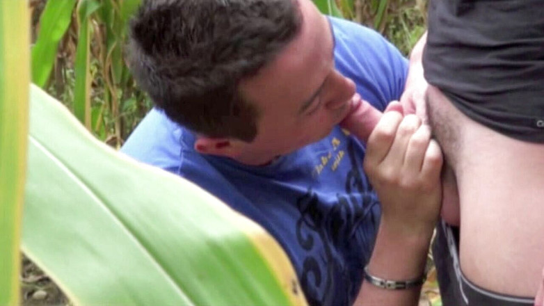 Discret Cruising sex: Slampa knullad i exhib marschkampanj