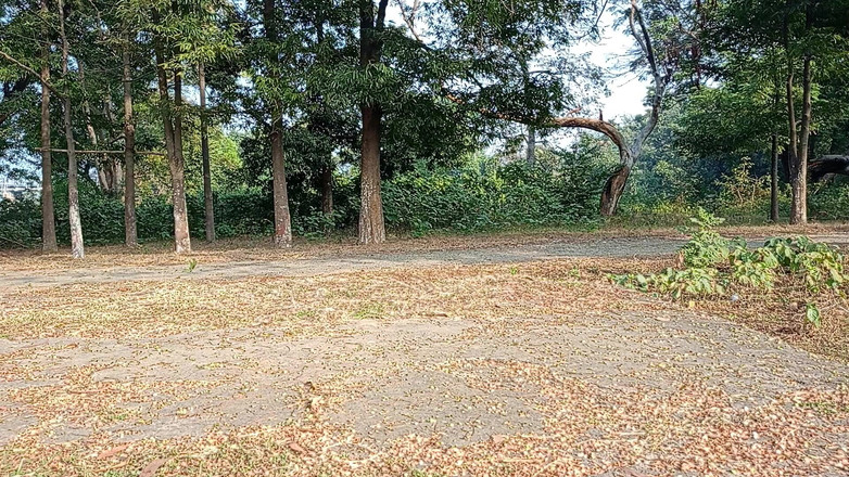 LinearOrnament35: Как удлинить пенис: 5 тренировок, чтобы сделать его 7 дюймов в длину