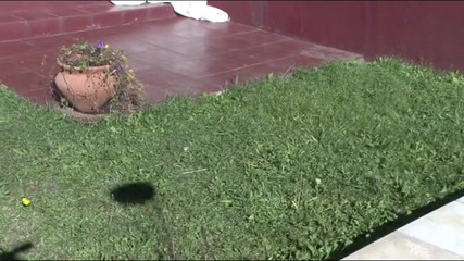 Out Sexxx: Lo Spogliarelista