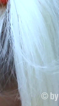Blonde Hitchhiker - Hot Blowjob in the Woods