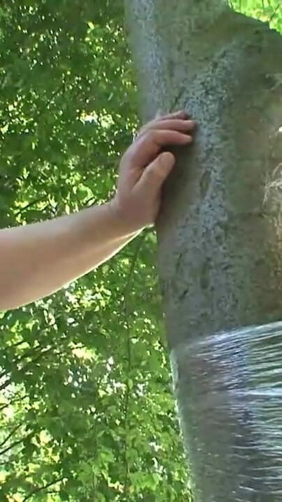 Absolute BDSM films - The original: Penghinaan dibalut dalam foil di dalam hutan