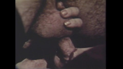 The Unforgettable: 猪吃了我的阴道