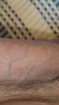 Pulsação Curvilínea Do Membro Robusto Esporrado.