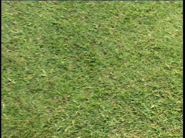 Outdoor Fucktivities: Athletic slut fucked by a black coach on the soccer...