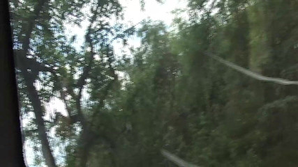 Just X Gays amateur porn: Vahşi ve özgür: açık gökyüzünün altında iki adam şehvete teslim ediyor