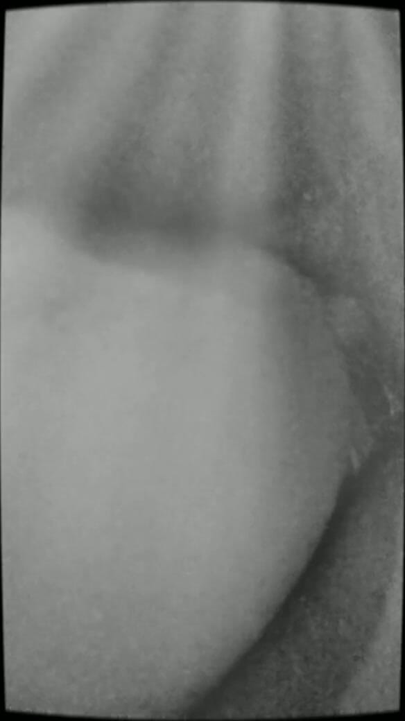 BBW-Cleopatra: Ich wollte sein sperma auf meinem arsch haben
