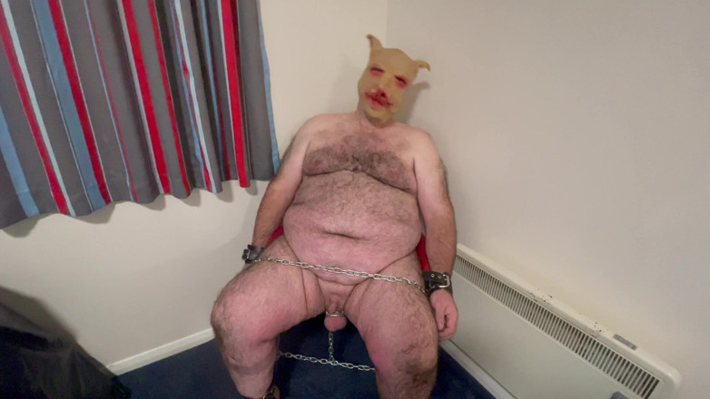 Aaexperiencesltd: Domina Gets Her Pussy Shaved While Piggy Looks on