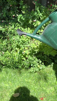 Gardening & Peeing with Little Olive