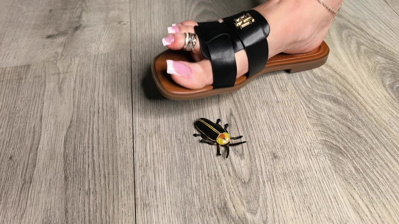 Goddess Lena: Cazador de insectos