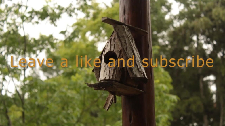 YeahHanna: Giorni di pioggia, fidanzata con i capelli rosa continua a...