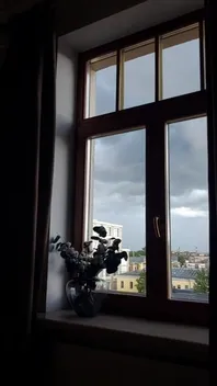 Nice Day