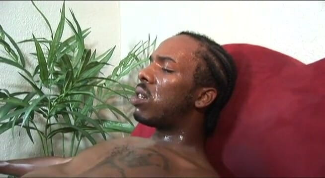 VOP Ebony Babes: Gorda ébano em um duro estrondo com um grande pau preto