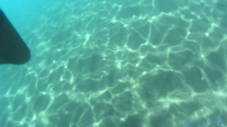 Nylondelux: Black Stocking in the Sea