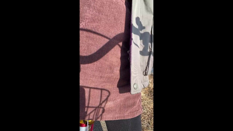 megu2002: Nr110 Wordt De Wind bij de Rivier Geheime Fietsdagboek Deel 2