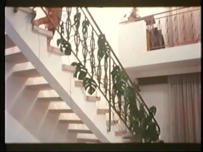 Euro Blue Movies: Massage in Sodomy (1979)