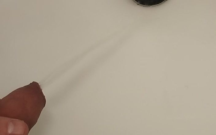 Bayer911: ビデオ20240822