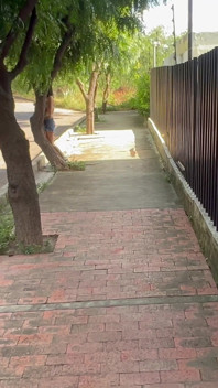 Sexo Casual Con Extraña, Invito a Una Joven Latina a Mi Apartamento Para Follarla