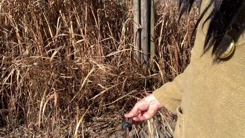 megu2002: 독립 훈련 No97 야외 소변 및 노출 수집